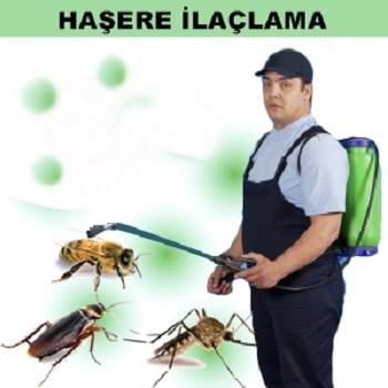 Dinar Böcek İlaçlama